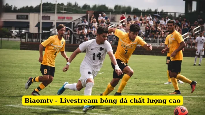 Biaomtv - Livestream bóng đá chất lượng cao