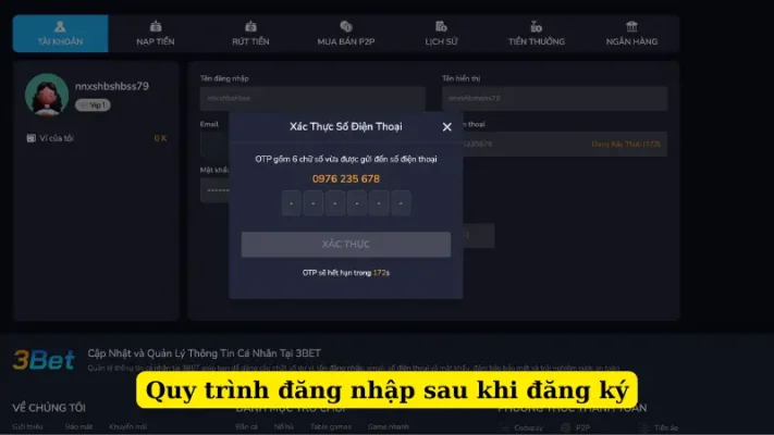 Quy trình đăng nhập sau khi đăng ký